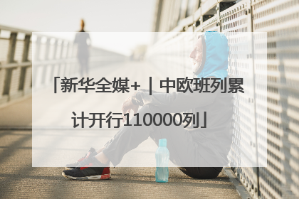 新华全媒+｜中欧班列累计开行110000列